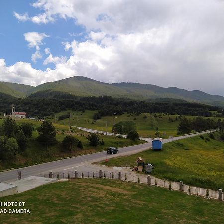 Вили Елеганс Сърница Camera foto
